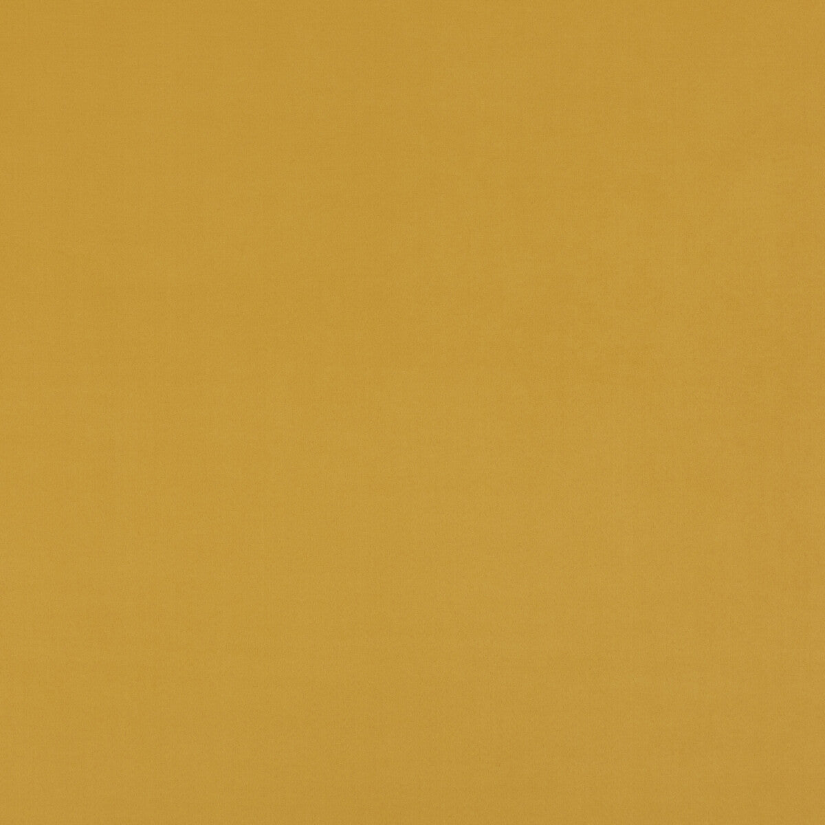 Maddox fabric in maize color - pattern PF50415.816.0 - by Baker Lifestyle in the Notebooks collection