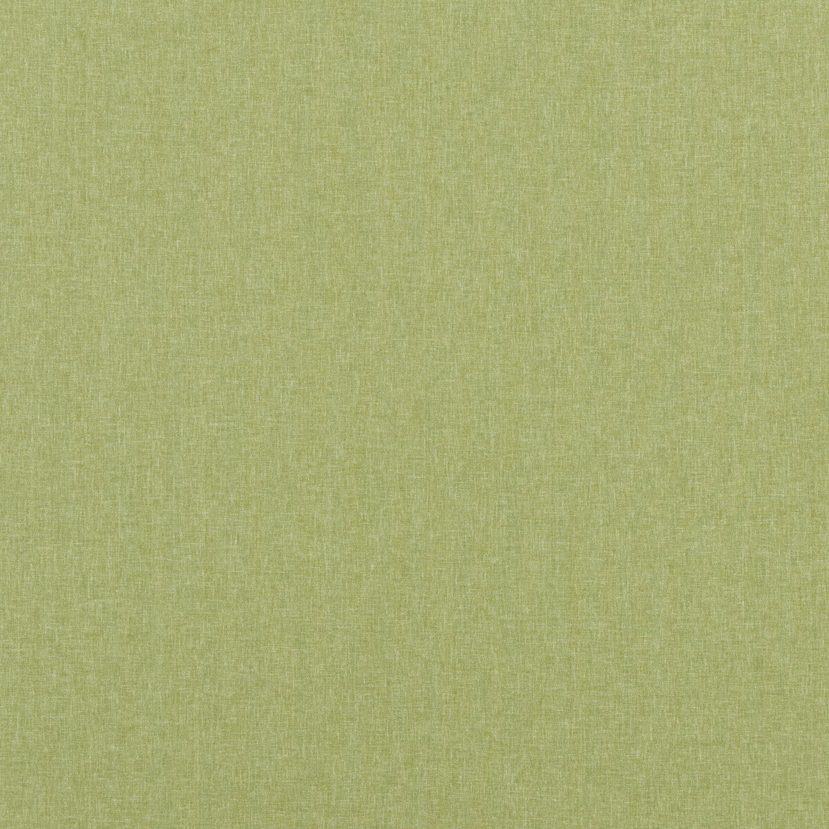 Carnival Plain fabric in grass color - pattern PF50420.735.0 - by Baker Lifestyle in the Carnival collection