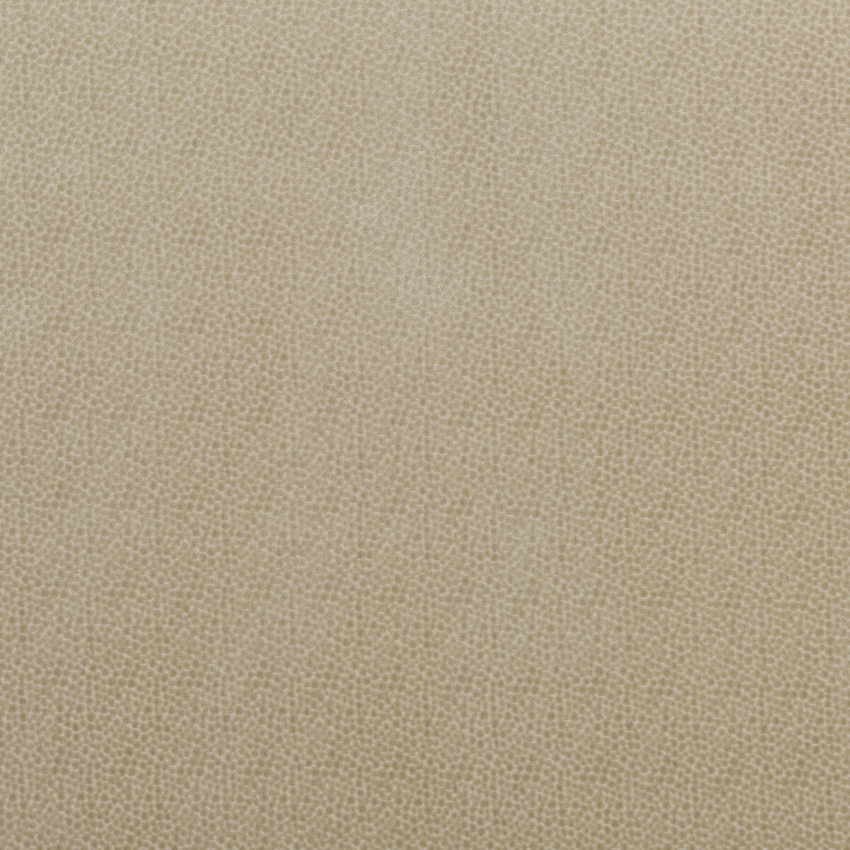 Salsa Spot fabric in parchment color - pattern PF50423.225.0 - by Baker Lifestyle in the Carnival collection