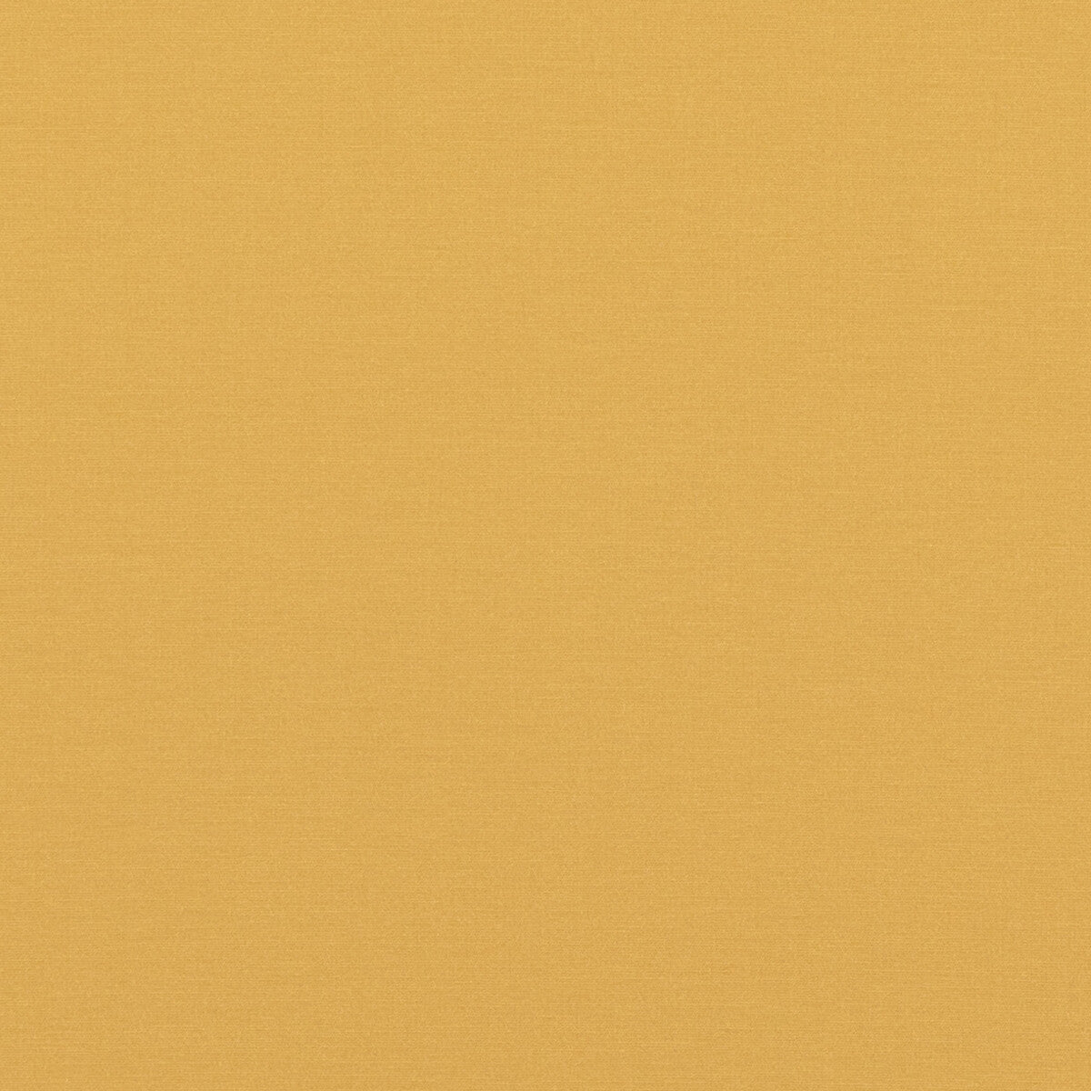 Pavilion fabric in ochre color - pattern PF50478.840.0 - by Baker Lifestyle in the Pavilion - Blegrave Notebook collection