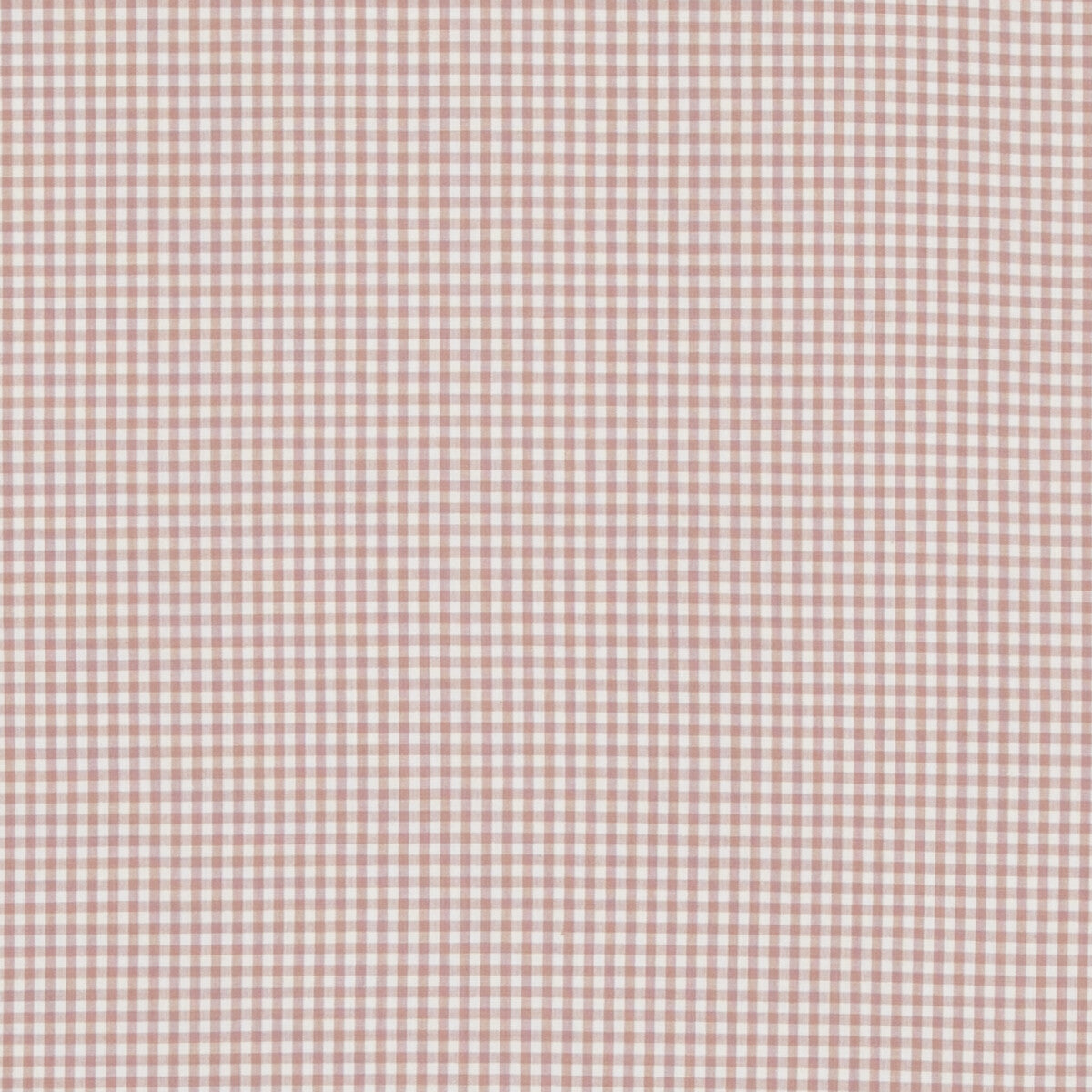 Sherborne Gingham fabric in pink color - pattern PF50506.404.0 - by Baker Lifestyle in the Bridport collection