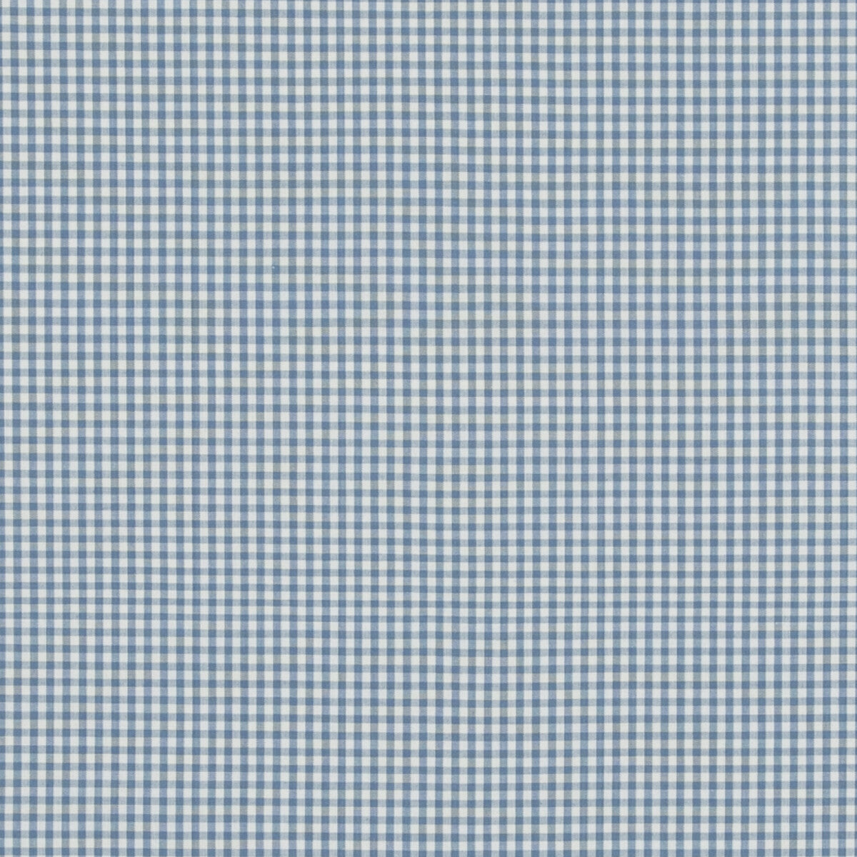 Sherborne Gingham fabric in soft blue color - pattern PF50506.605.0 - by Baker Lifestyle in the Bridport collection