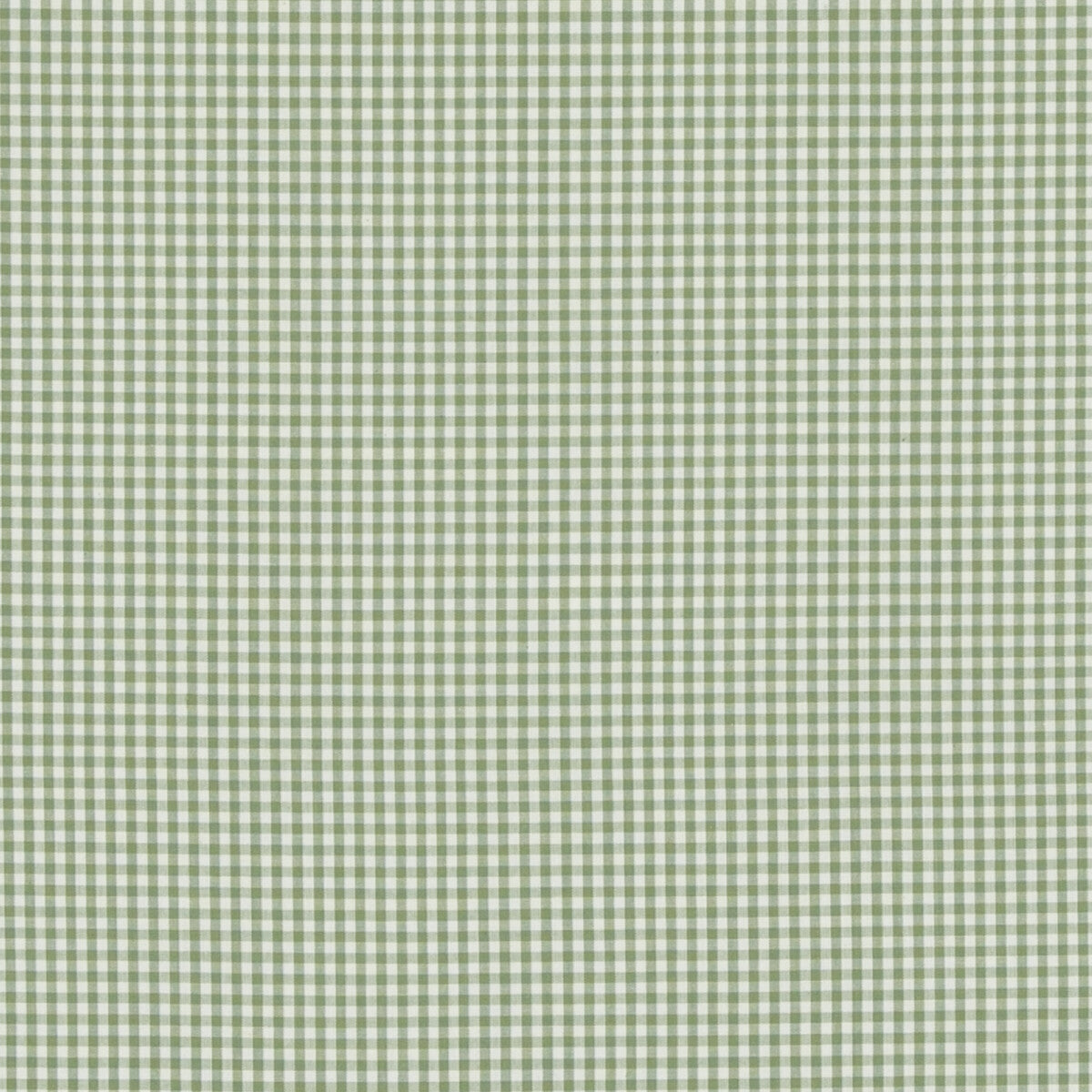 Sherborne Gingham fabric in green color - pattern PF50506.735.0 - by Baker Lifestyle in the Bridport collection