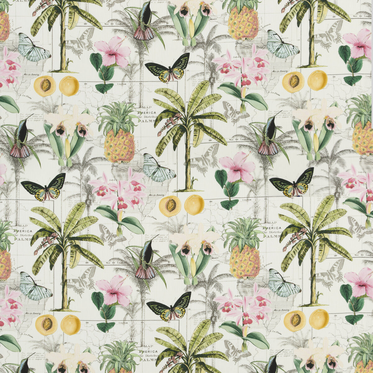Orinoco fabric in tropical color - pattern PP50434.1.0 - by Baker Lifestyle in the Carnival collection
