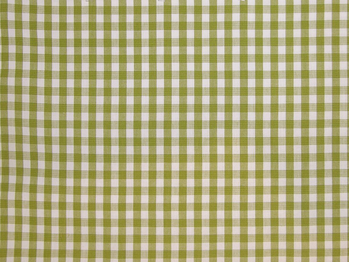 Chatham Check fabric in green/off-white color - pattern number PQ 00031322 - by Scalamandre in the Old World Weavers collection