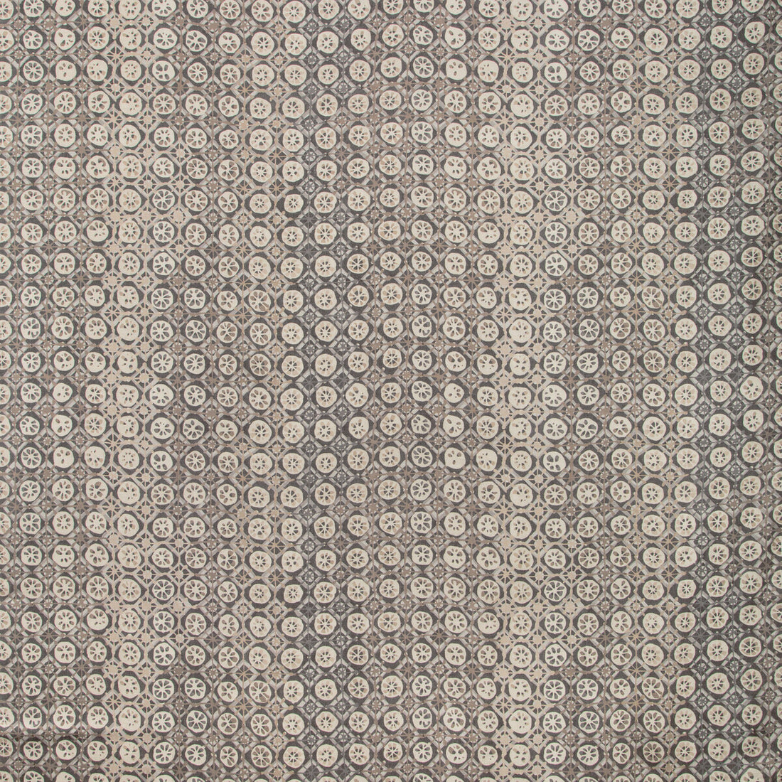 Procida fabric in pewter color - pattern PROCIDA.21.0 - by Kravet Couture in the Modern Colors-Sojourn Collection collection