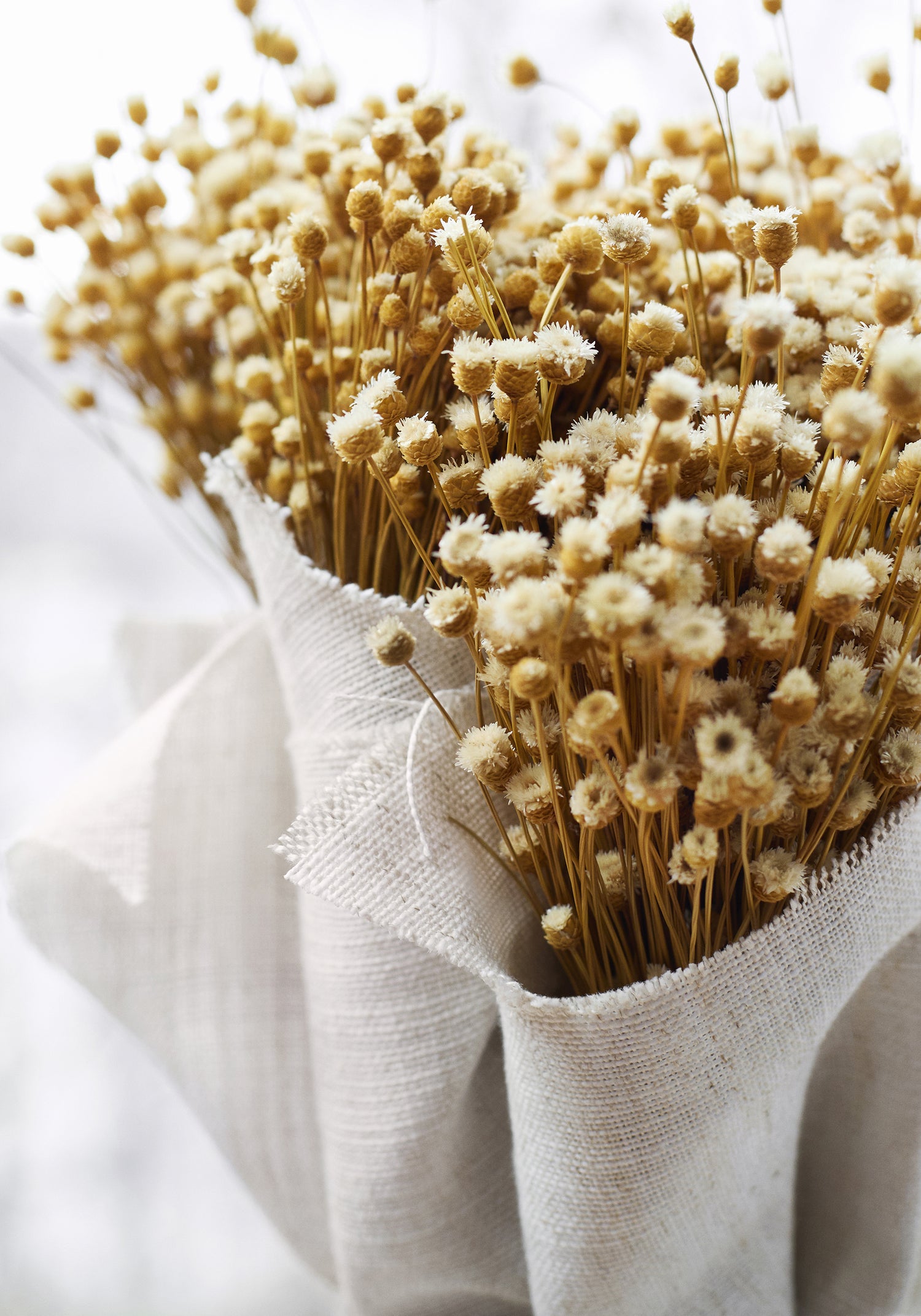 Detail of Dawn Linen woven fabric in linen color being used as a plant accent liner - pattern number FWW7664