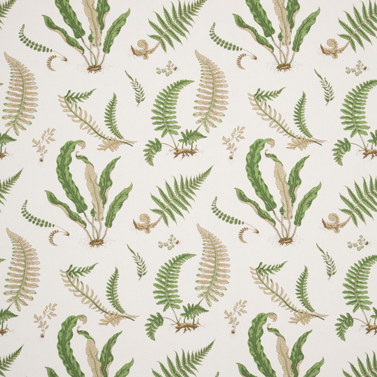Ferns Linen fabric in stone/green color - pattern R1324.01.0 - by G P &amp; J Baker in the Perennia collection