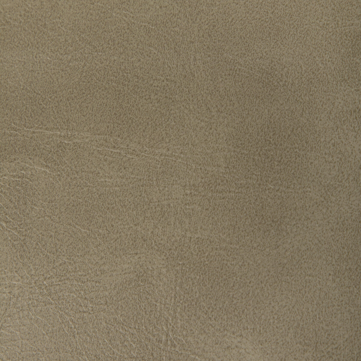 Rambler fabric in antler color - pattern RAMBLER.106.0 - by Kravet Contract