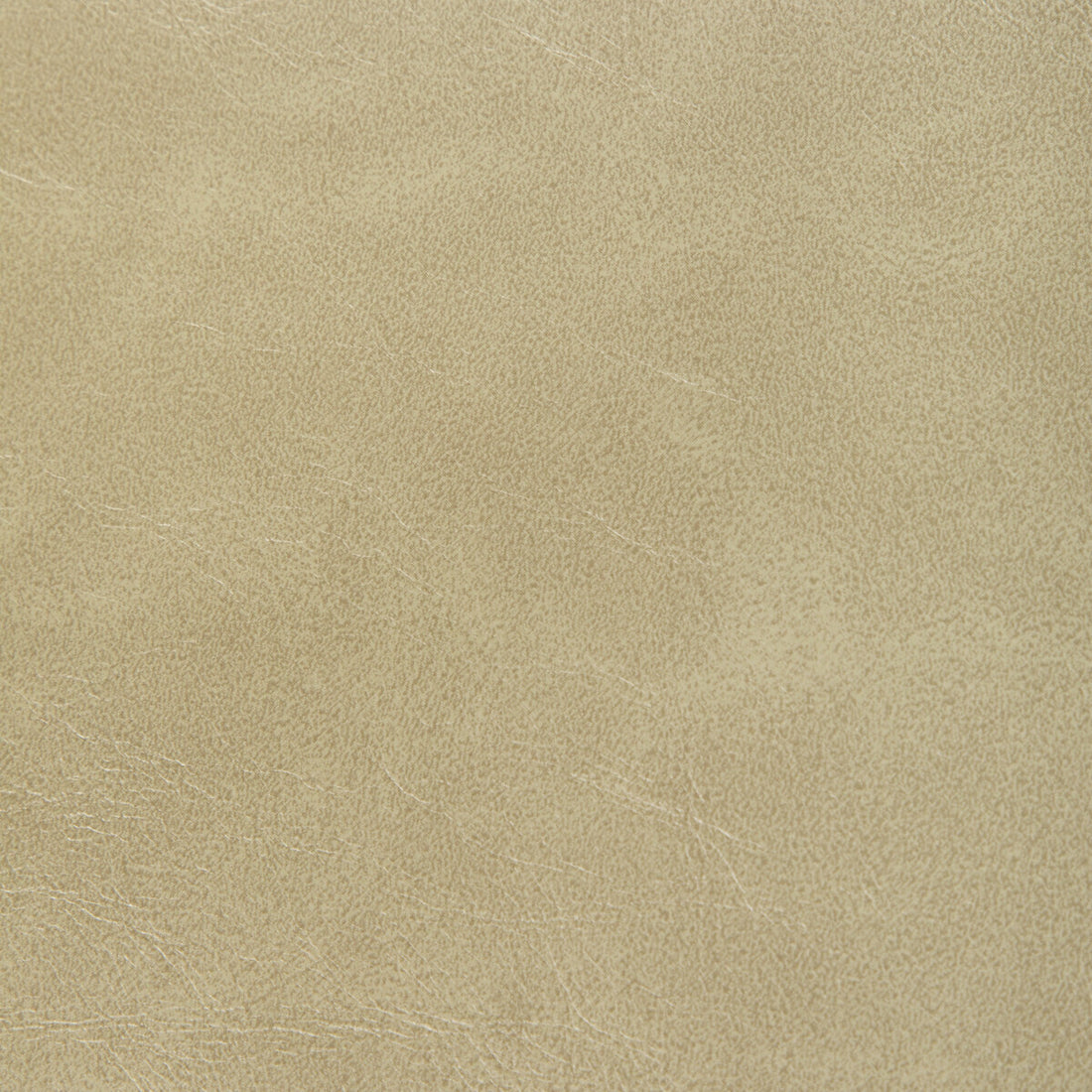 Rambler fabric in prairie color - pattern RAMBLER.16.0 - by Kravet Contract