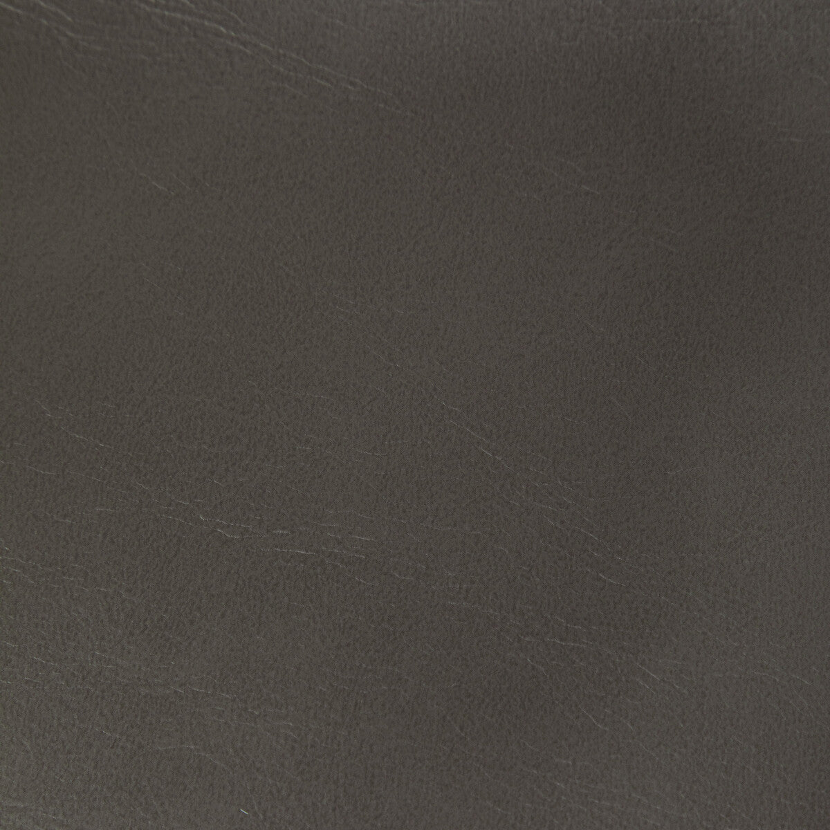 Rambler fabric in gunmetal color - pattern RAMBLER.21.0 - by Kravet Contract