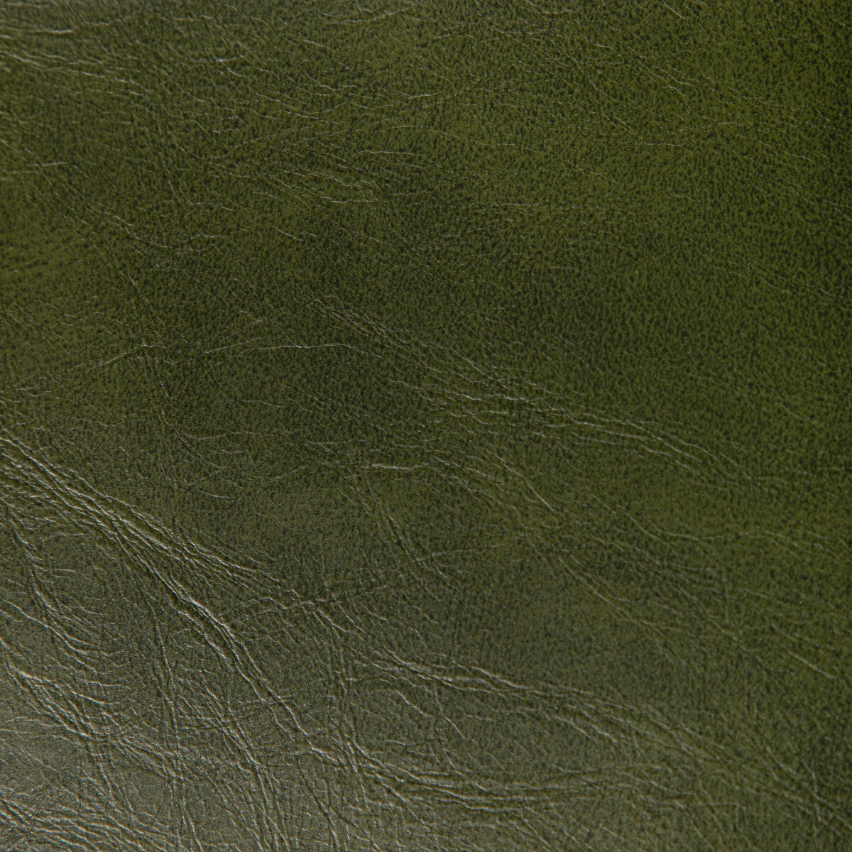 Rambler fabric in verde color - pattern RAMBLER.3.0 - by Kravet Contract