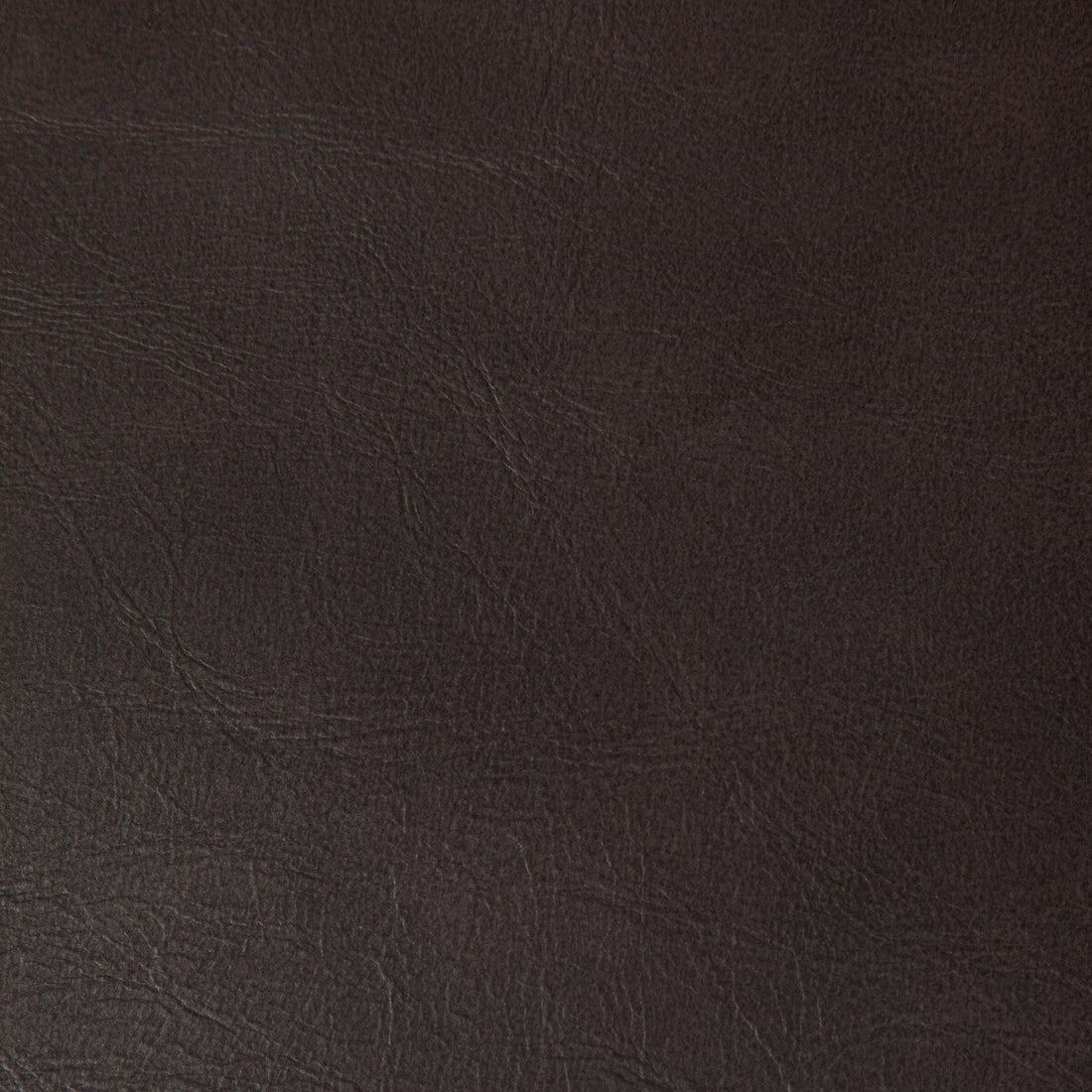Rambler fabric in cacao color - pattern RAMBLER.6.0 - by Kravet Contract