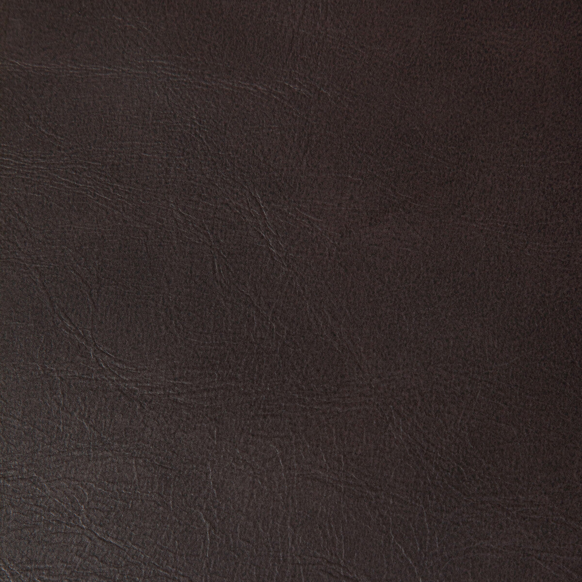 Rambler fabric in cacao color - pattern RAMBLER.6.0 - by Kravet Contract