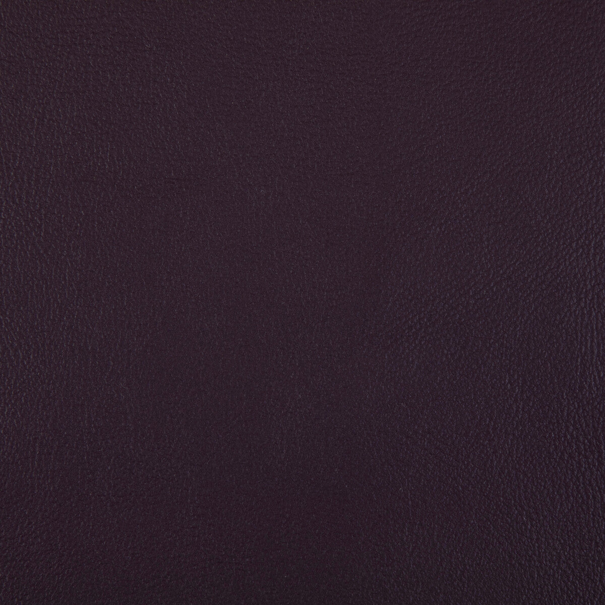 Rand fabric in plum color - pattern RAND.10.0 - by Kravet Contract