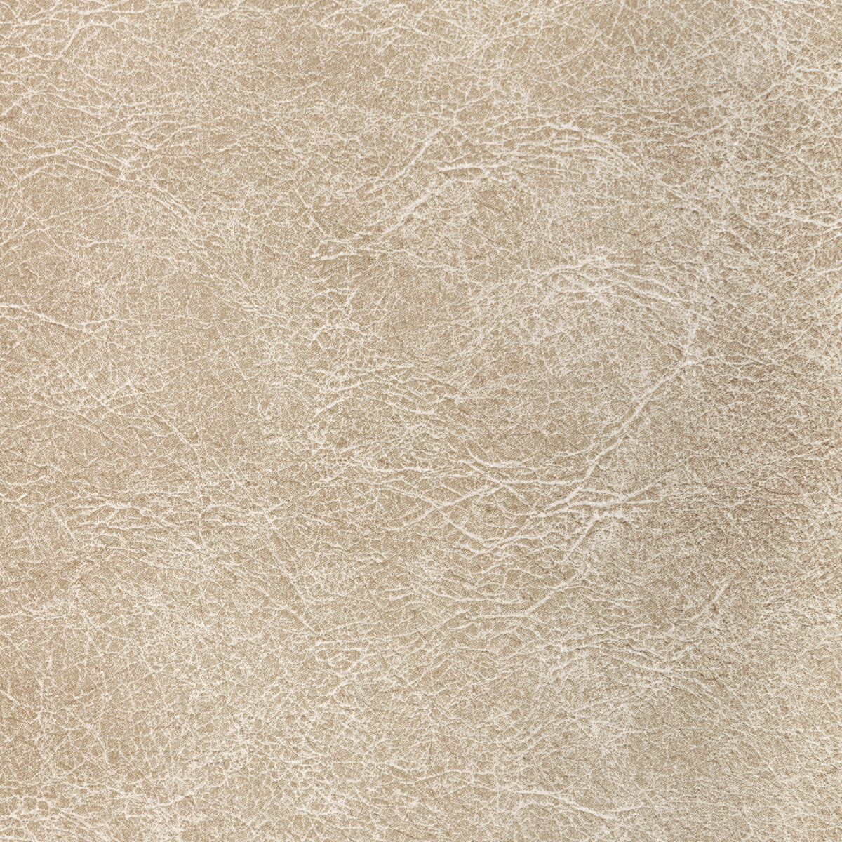 Reboot fabric in fossil color - pattern number REBOOT.116.0 - by Kravet Contract in the Evolve Faux Leather collection