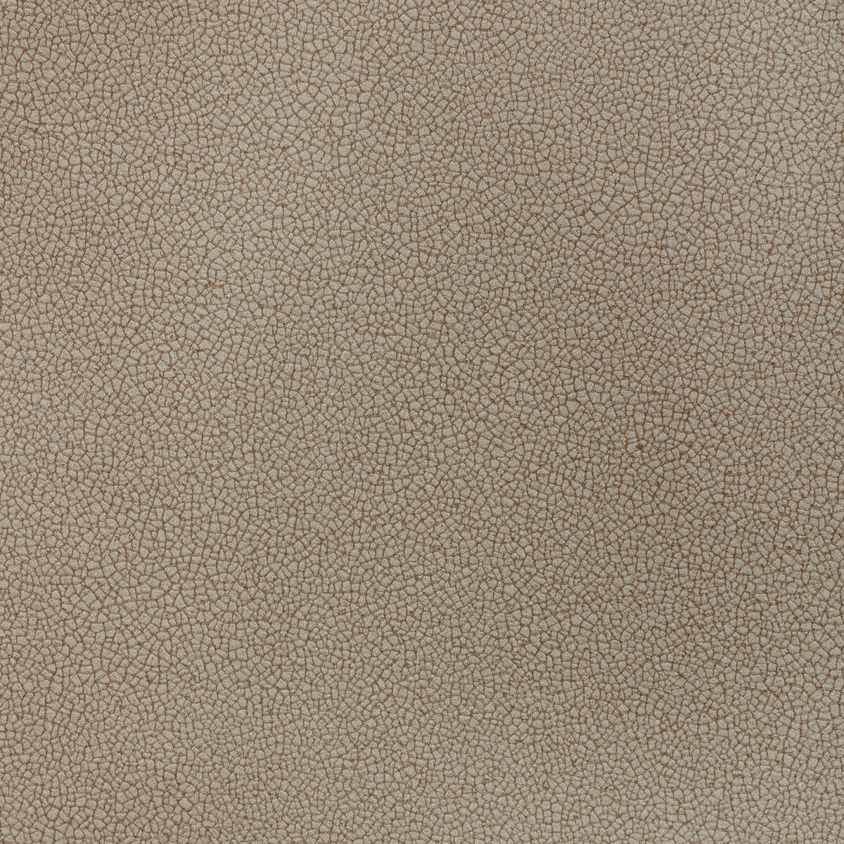 Reset fabric in flint color - pattern number RESET.106.0 - by Kravet Contract in the Evolve Faux Leather collection