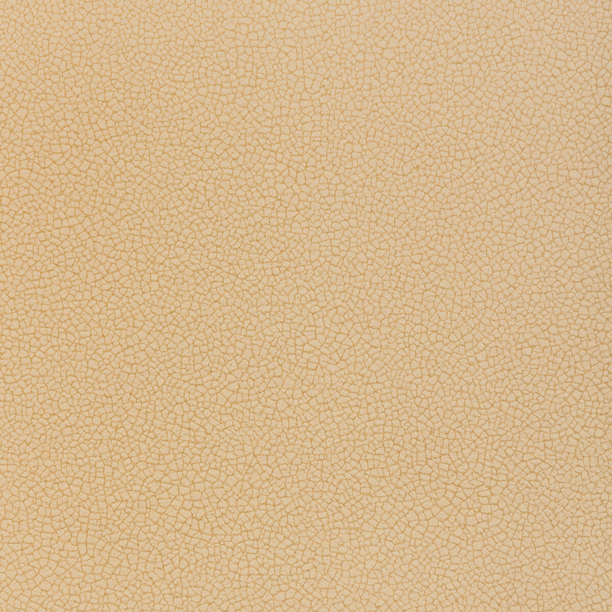 Reset fabric in fossil color - pattern number RESET.116.0 - by Kravet Contract in the Evolve Faux Leather collection