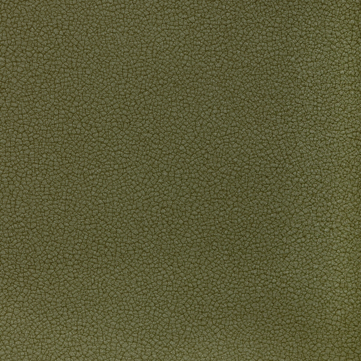 Reset fabric in artichoke color - pattern number RESET.3.0 - by Kravet Contract in the Evolve Faux Leather collection