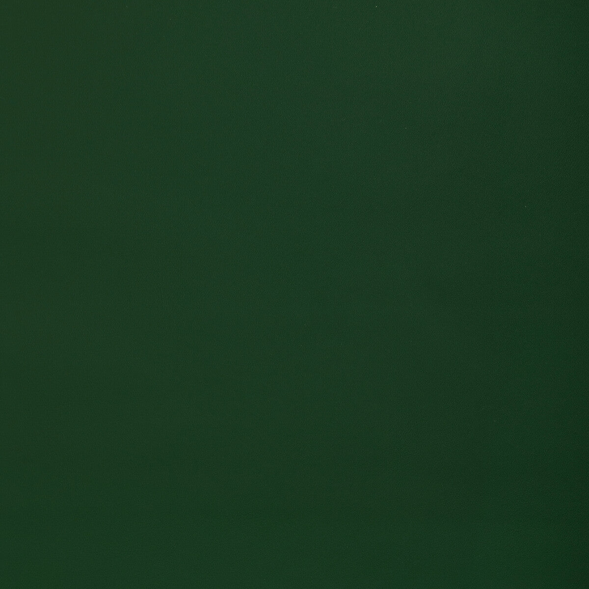 Retouch fabric in woodland color - pattern number RETOUCH.33.0 - by Kravet Contract in the Retouch Faux Leather collection