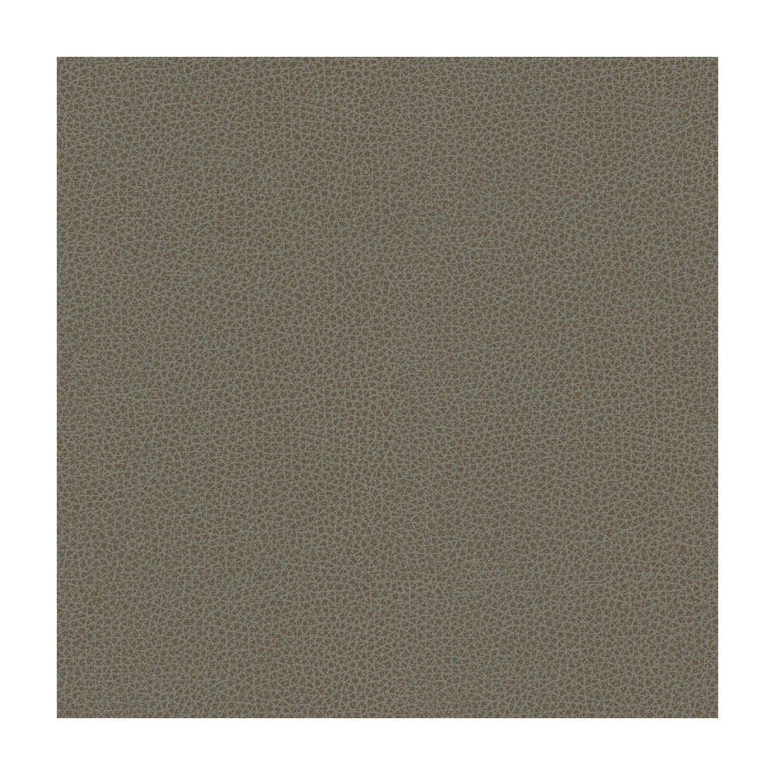 Kravet Design fabric in rigel-11 color - pattern RIGEL.11.0 - by Kravet Design