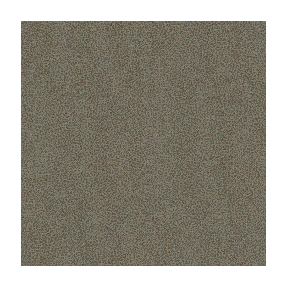 Kravet Design fabric in rigel-11 color - pattern RIGEL.11.0 - by Kravet Design