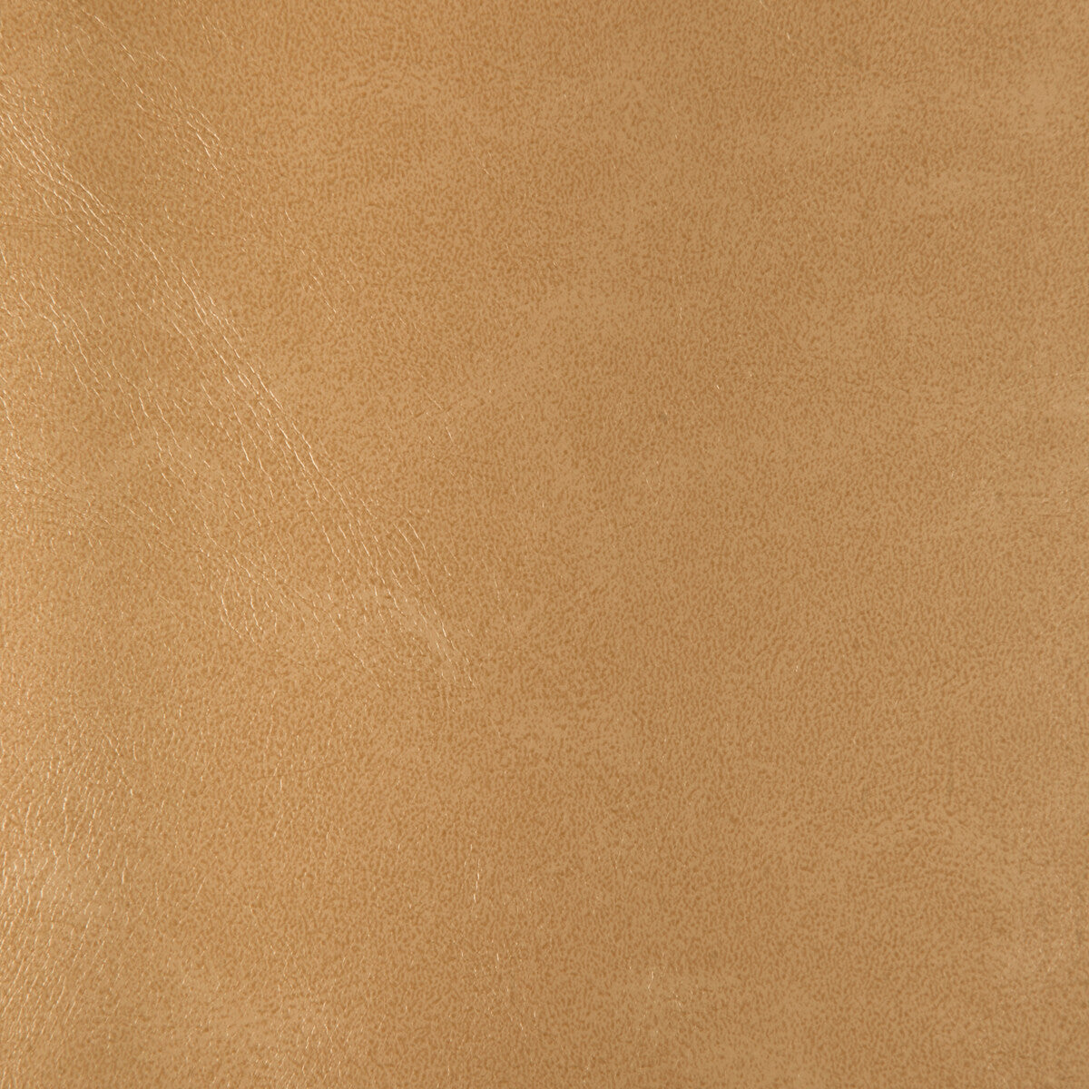 Rind fabric in rind-116 color - pattern number RIND.116.0 - by Kravet Design in the Faux Leather IV collection