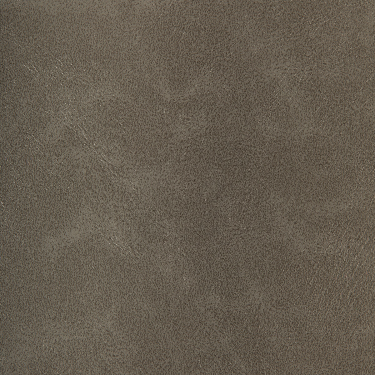 Rind fabric in rind-11 color - pattern number RIND.11.0 - by Kravet Design in the Faux Leather IV collection
