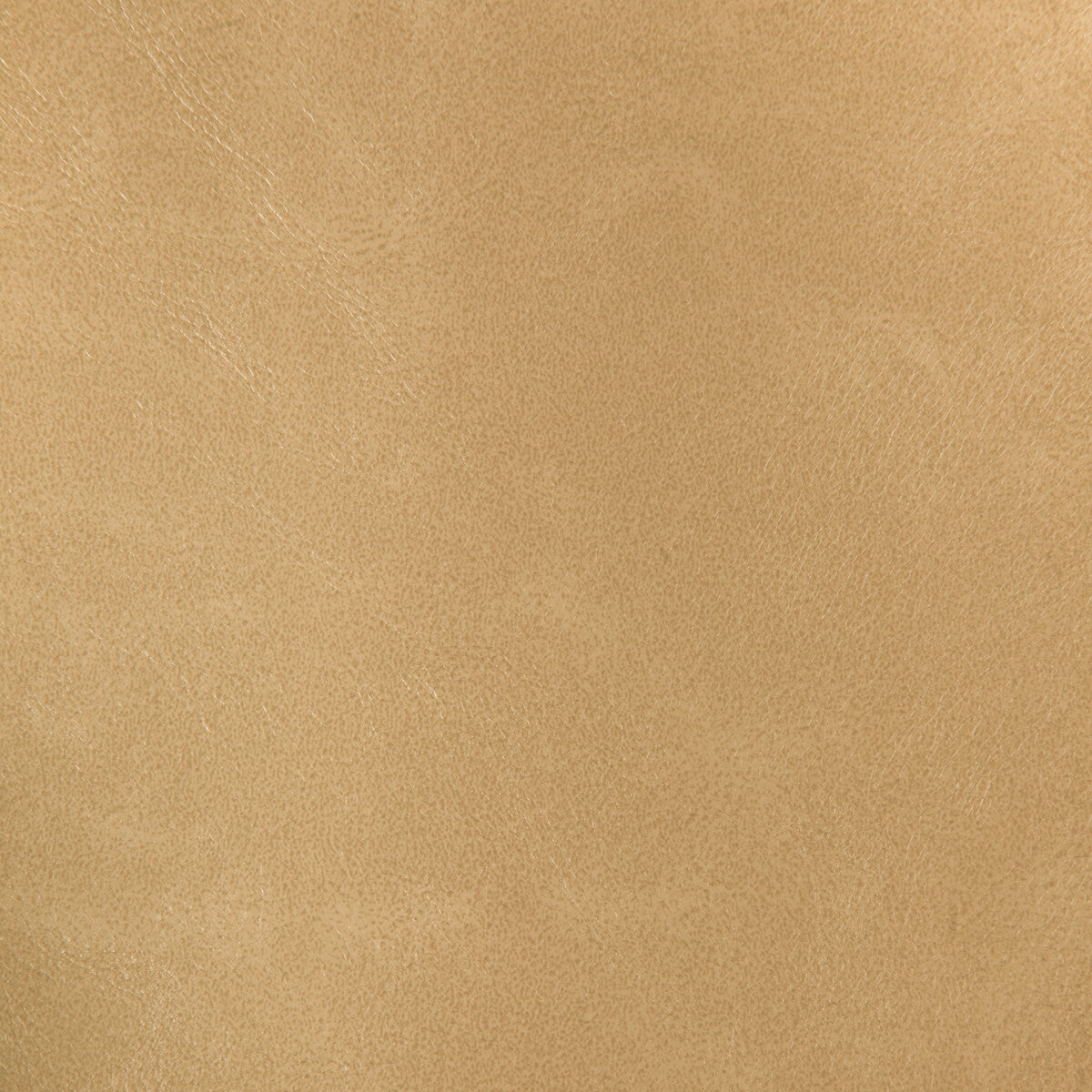 Rind fabric in rind-16 color - pattern number RIND.16.0 - by Kravet Design in the Faux Leather IV collection
