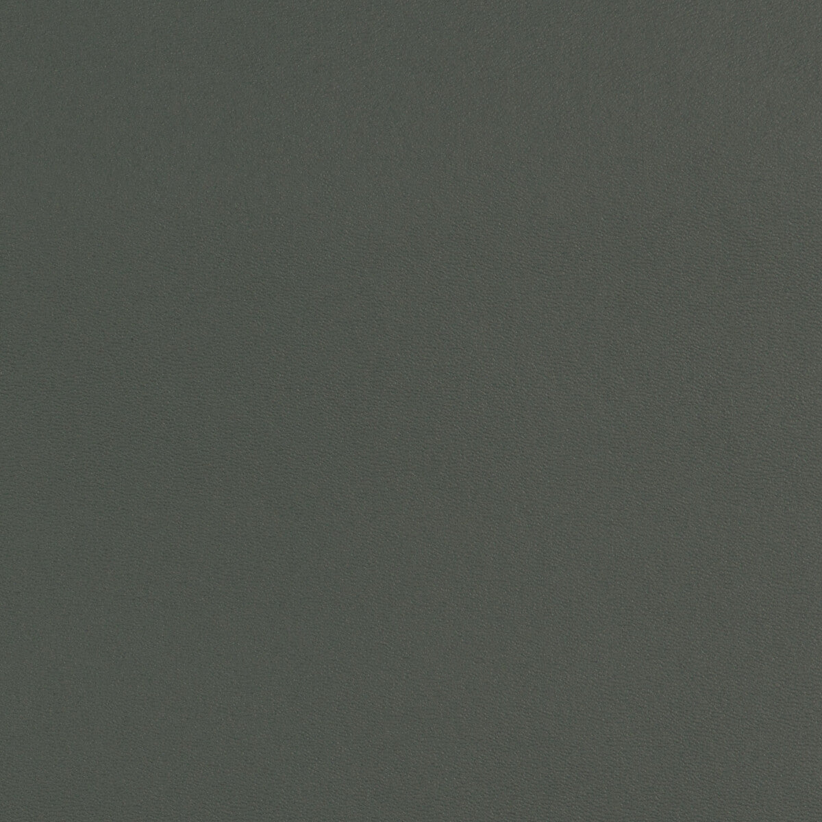 Rock Solid fabric in evergreen color - pattern ROCK SOLID.53.0 - by Kravet Contract in the Faux Leather Extreme Performance collection