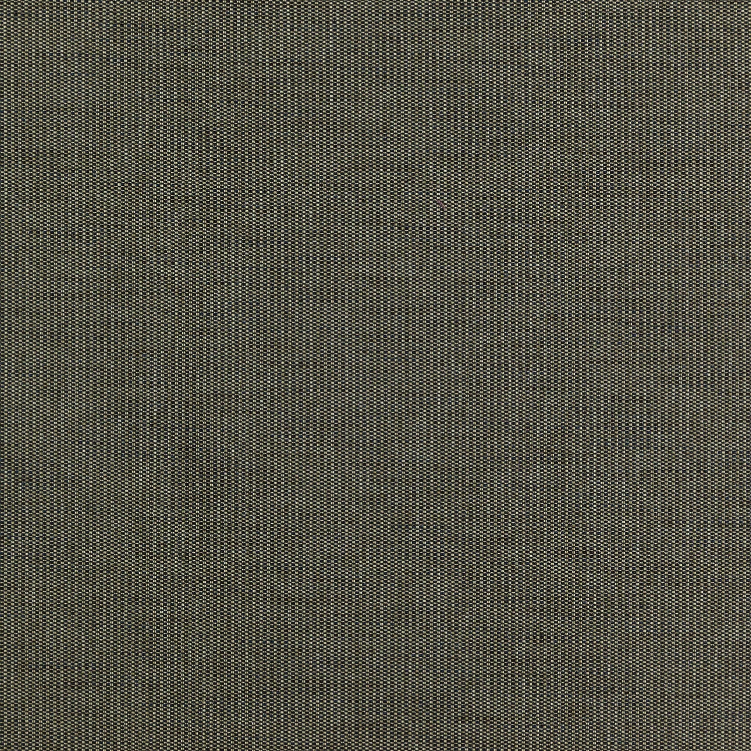Rookie fabric in 43 color - pattern number Rookie43J7351 - by JF Fabrics in the Winning Weaves VI Woven collection