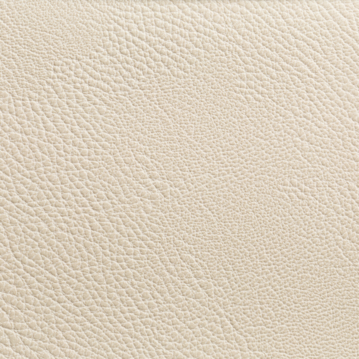 Rustler fabric in gypsum color - pattern RUSTLER.111.0 - by Kravet Contract in the Foundations / Value collection