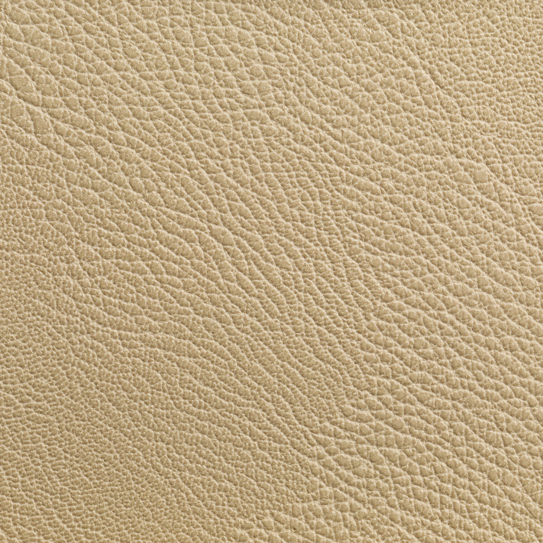 Rustler fabric in wheat color - pattern RUSTLER.116.0 - by Kravet Contract in the Foundations / Value collection