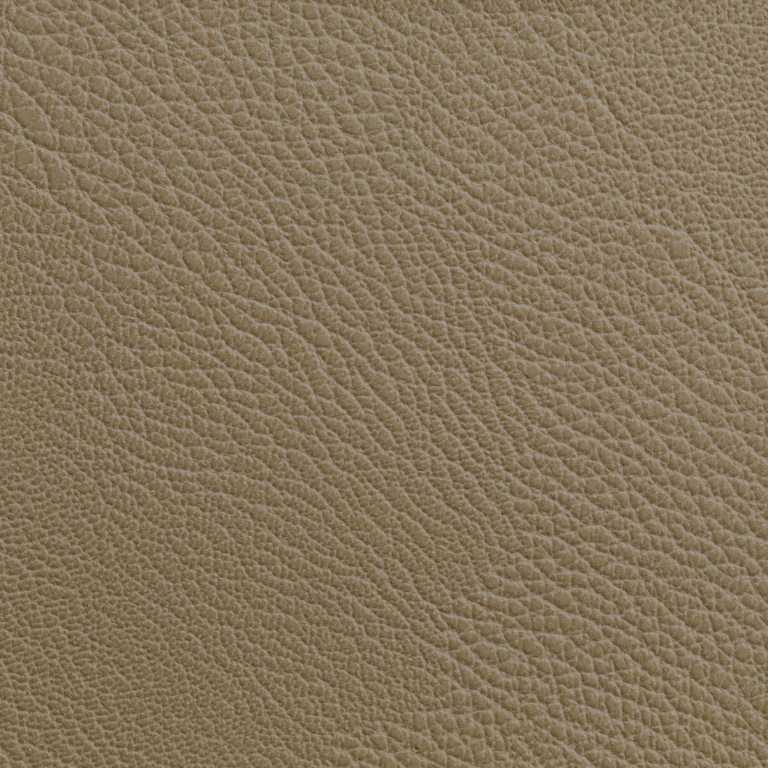 Rustler fabric in cashew color - pattern RUSTLER.16.0 - by Kravet Contract in the Foundations / Value collection