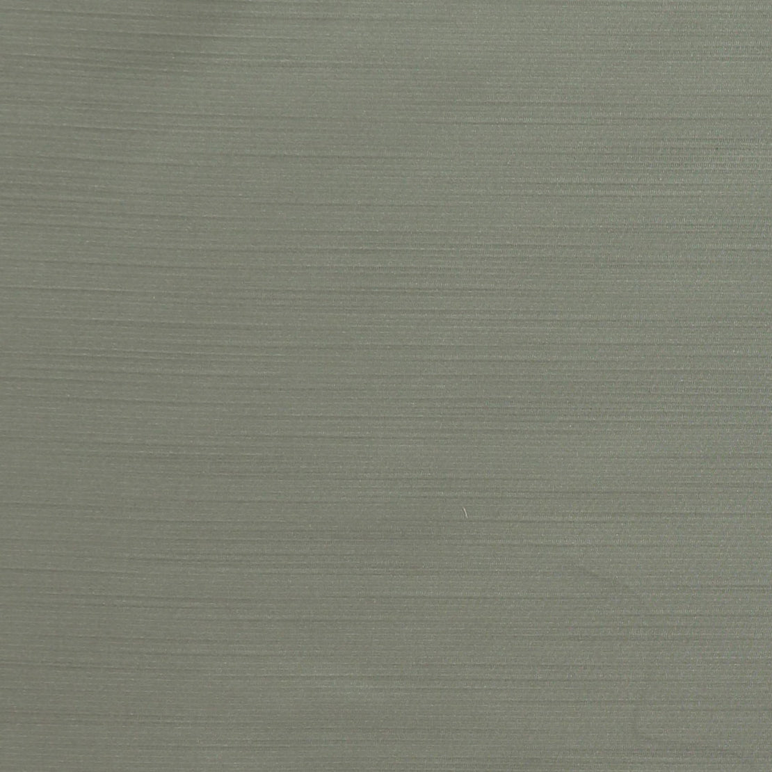 Royal Slub fabric in silver color - pattern number 05807 - by Europatex in the Royal Slub collection