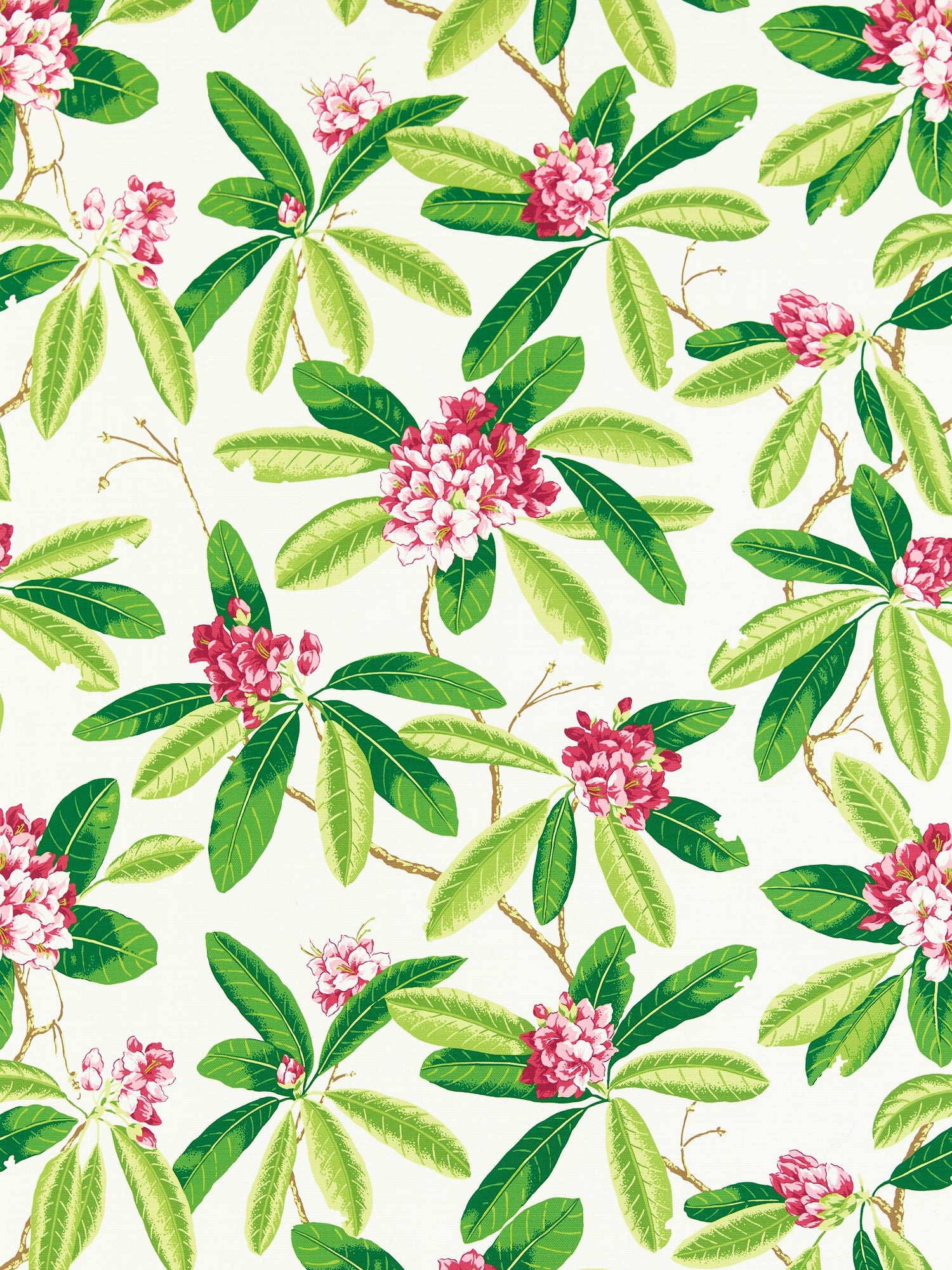 Rhododendron Outdoor fabric in fuschia color - pattern number SC 000116454M - by Scalamandre in the Scalamandre Fabrics Book 1 collection