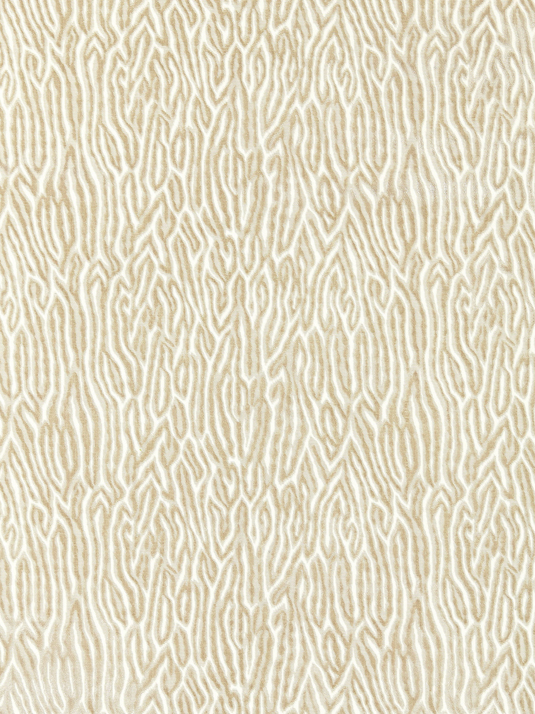 Faux Bois Velvet fabric in fog color - pattern number SC 000127076 - by Scalamandre in the Scalamandre Fabrics Book 1 collection