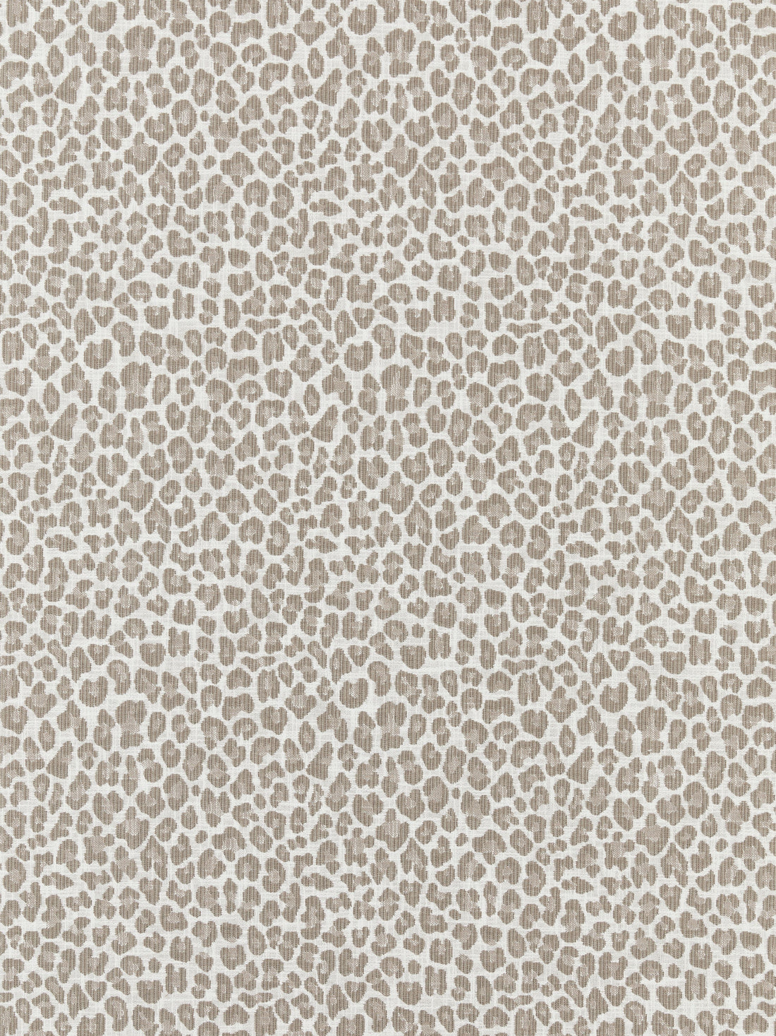 Backyard Bengal fabric in limestone color - pattern number SC 000127316 - by Scalamandre in the Scalamandre Fabrics Book 1 collection