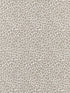Backyard Bengal fabric in limestone color - pattern number SC 000127316 - by Scalamandre in the Scalamandre Fabrics Book 1 collection
