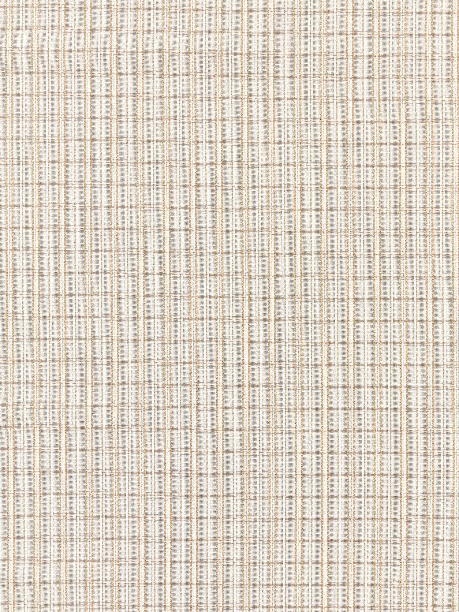Check Please Outdoor fabric in birch color - pattern number SC 000127318 - by Scalamandre in the Scalamandre Fabrics Book 1 collection