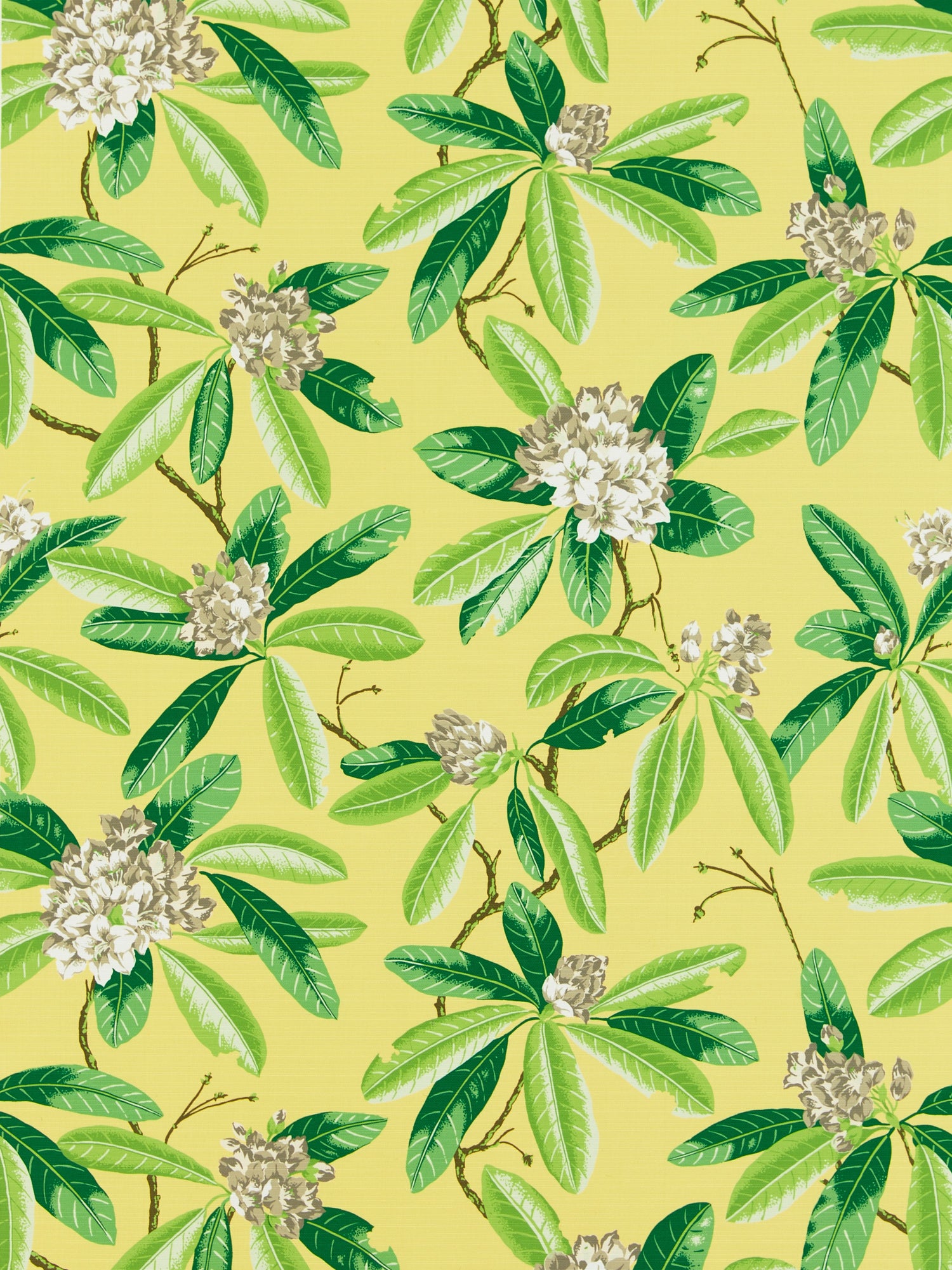 Rhododendron Outdoor fabric in pineapple color - pattern number SC 000216454M - by Scalamandre in the Scalamandre Fabrics Book 1 collection