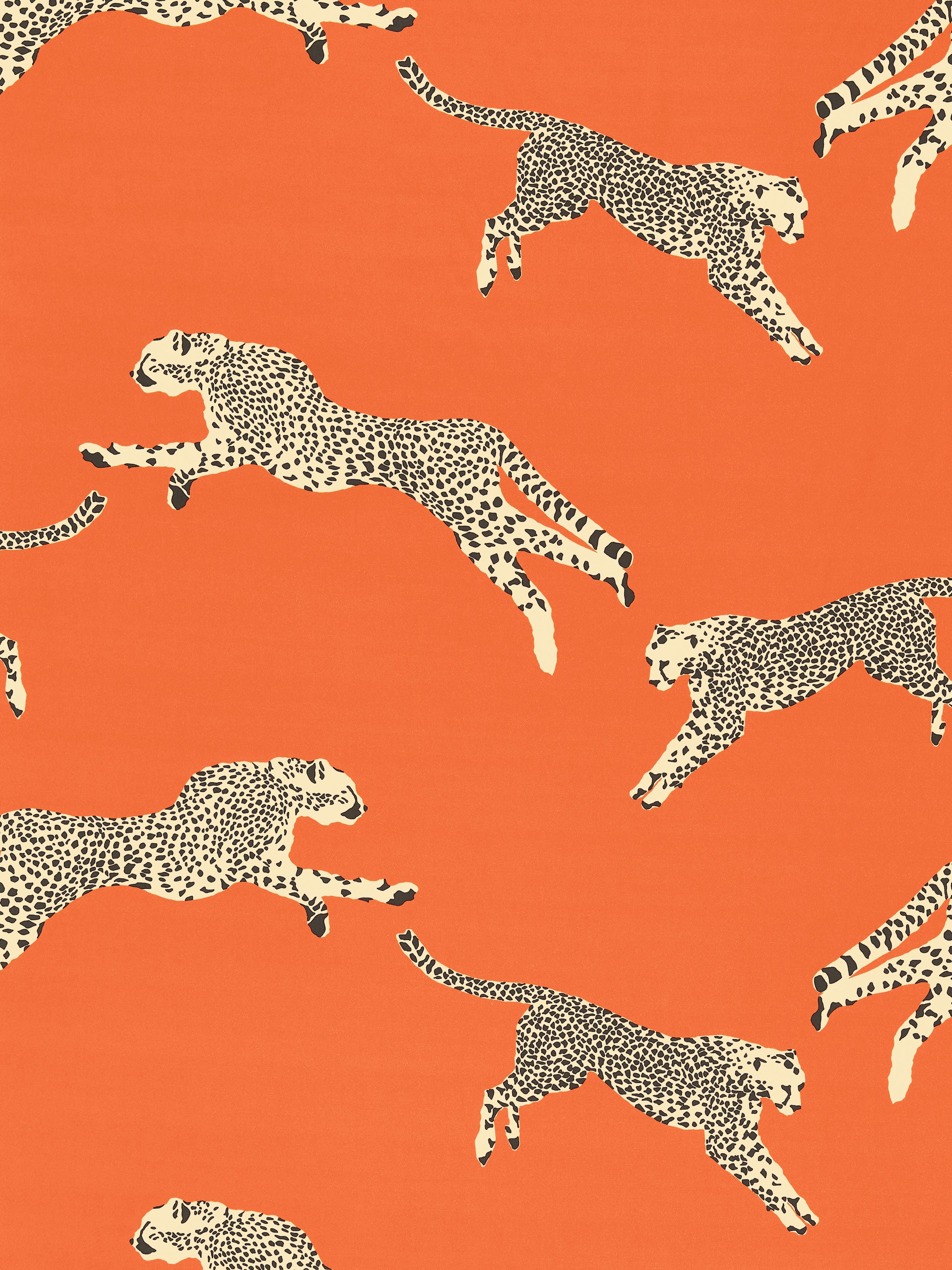Leaping Cheetah Cotton Print fabric in clementine color - pattern number SC 000216634 - by Scalamandre in the Scalamandre Fabrics Book 1 collection