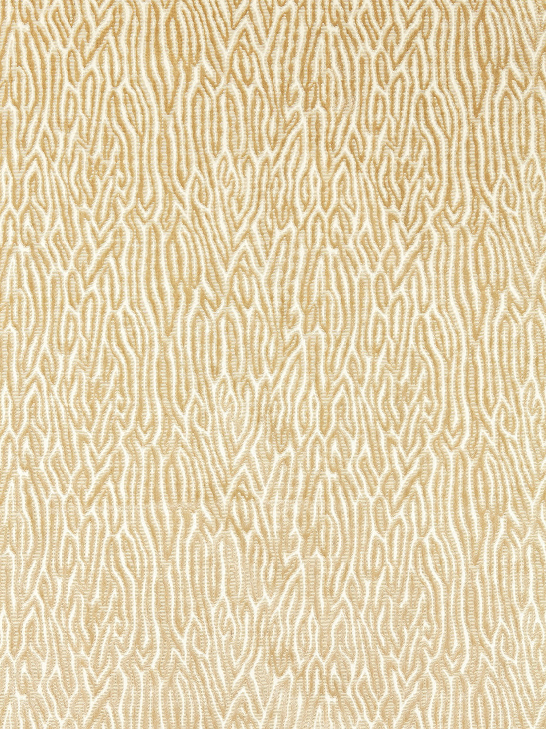 Faux Bois Velvet fabric in sand color - pattern number SC 000227076 - by Scalamandre in the Scalamandre Fabrics Book 1 collection