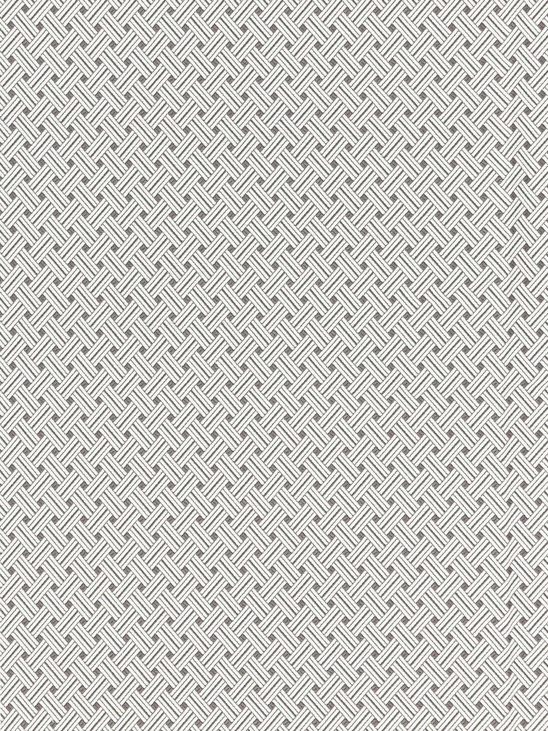 Roatan Weave fabric in pearl grey color - pattern number SC 000227187 - by Scalamandre in the Scalamandre Fabrics Book 1 collection
