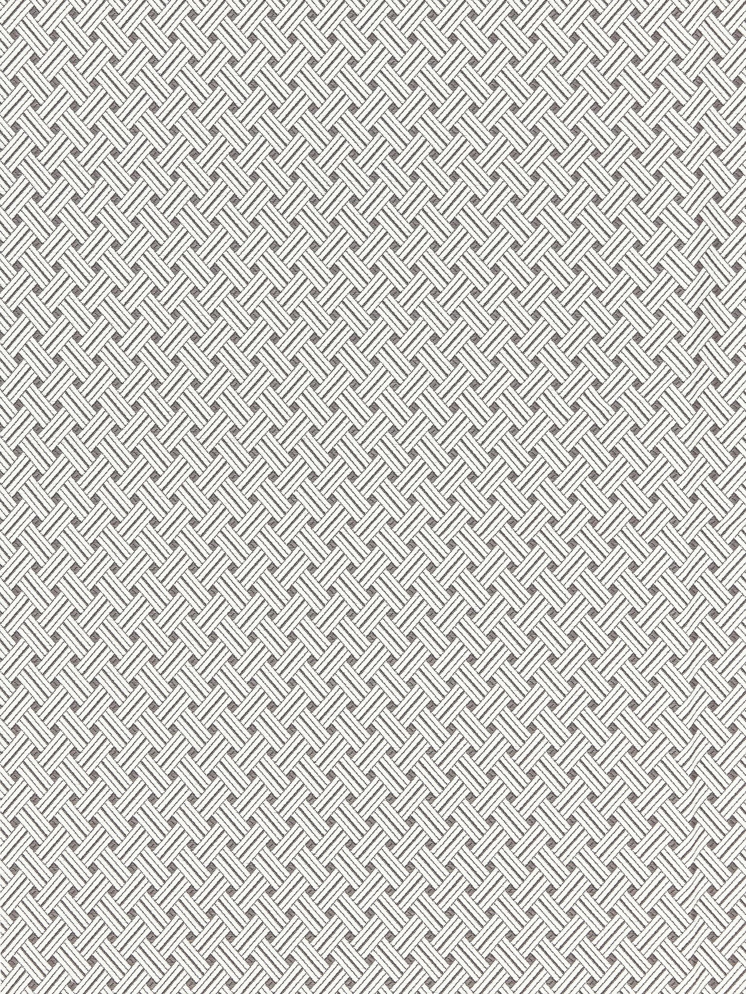 Roatan Weave fabric in pearl grey color - pattern number SC 000227187 - by Scalamandre in the Scalamandre Fabrics Book 1 collection