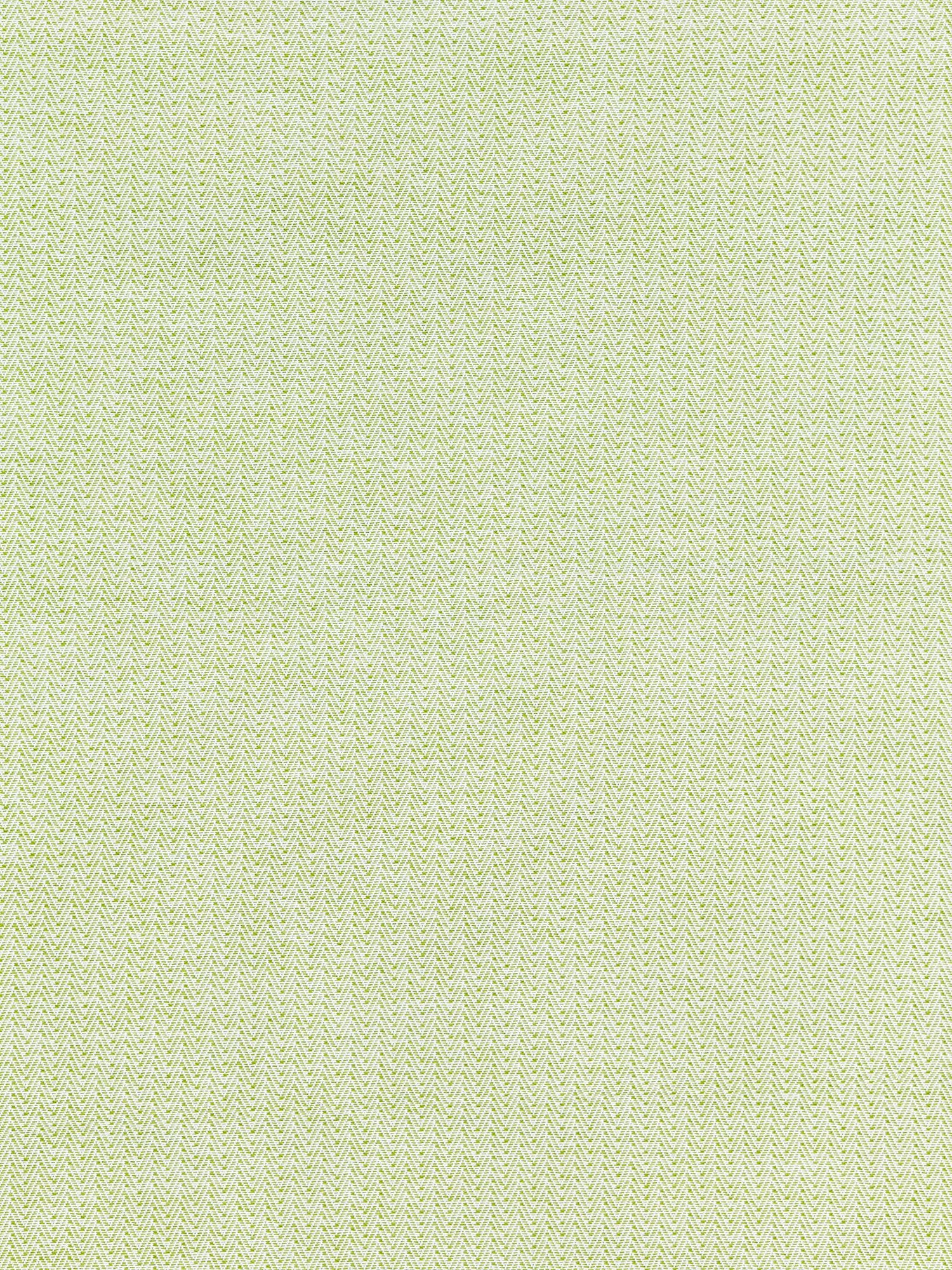 Capri Herringbone fabric in palm color - pattern number SC 000227191 - by Scalamandre in the Scalamandre Fabrics Book 1 collection