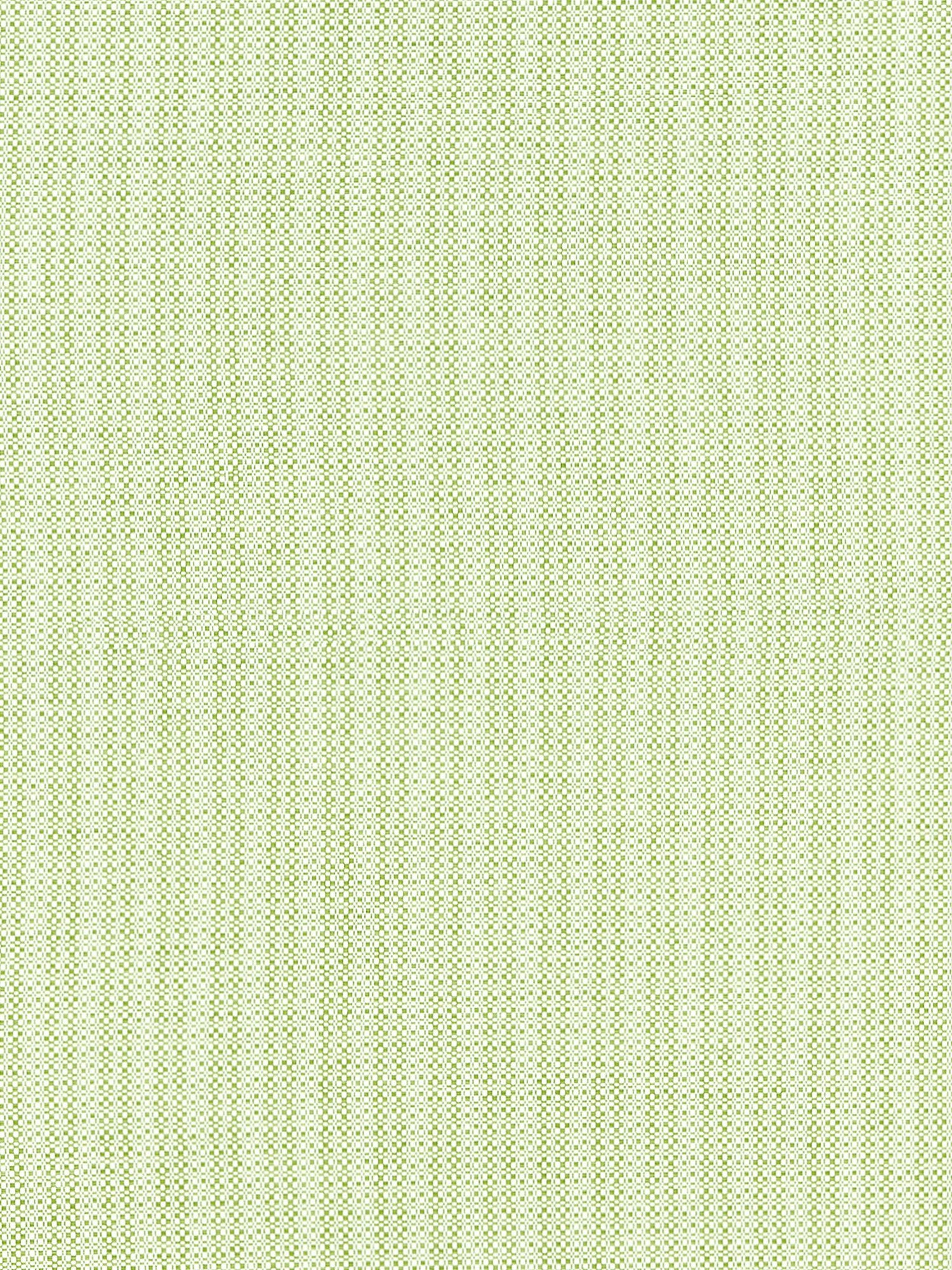 Tahiti Tweed fabric in palm color - pattern number SC 000227192 - by Scalamandre in the Scalamandre Fabrics Book 1 collection