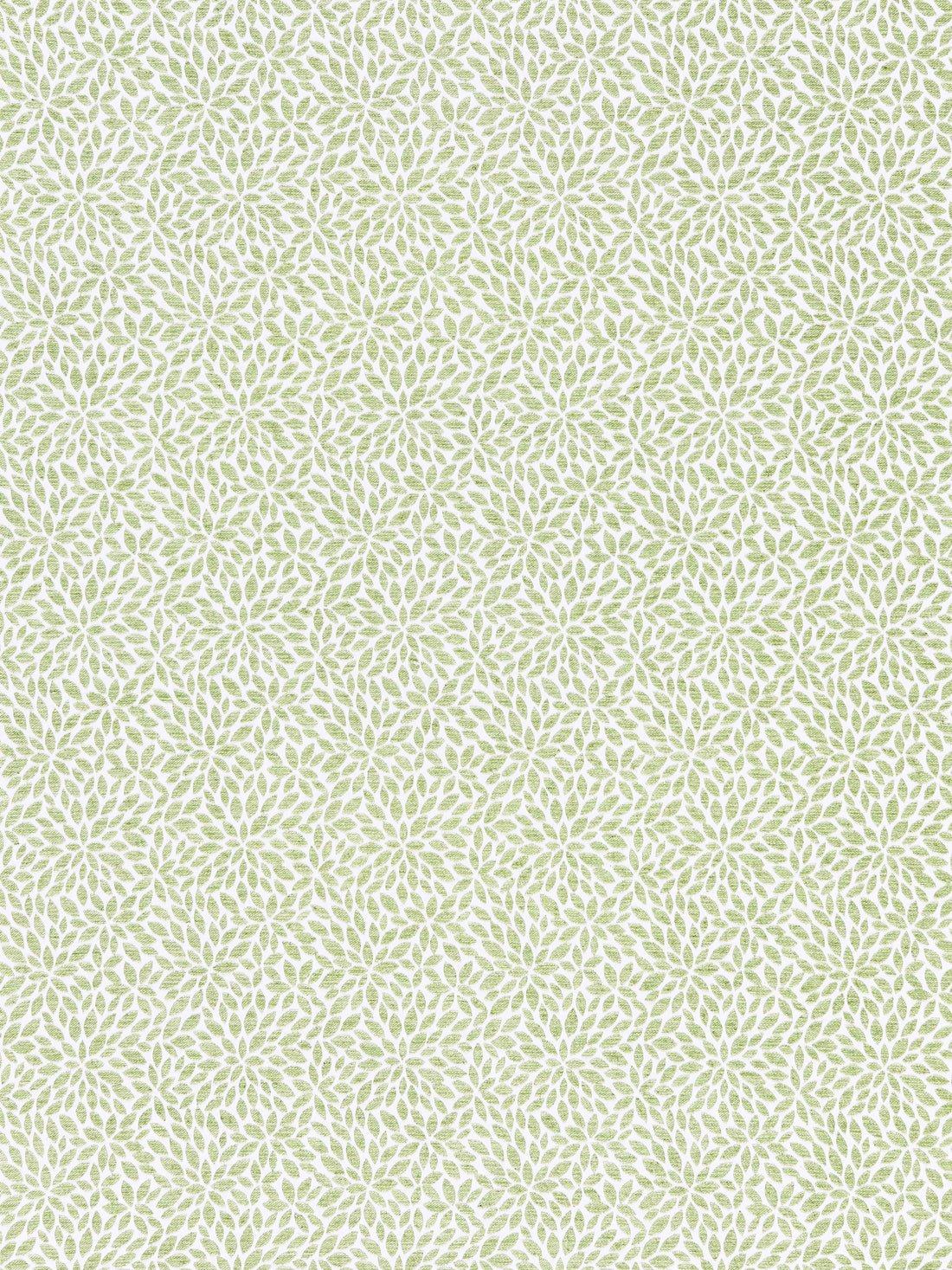 Risa Weave fabric in fern color - pattern number SC 000227239 - by Scalamandre in the Scalamandre Fabrics Book 1 collection