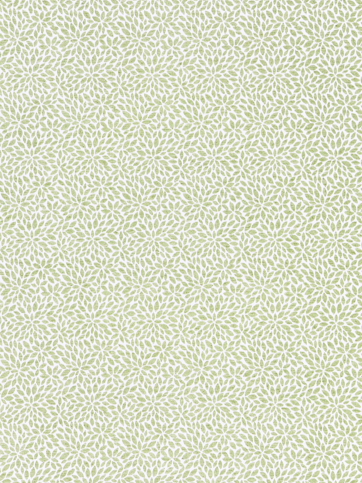 Risa Weave fabric in fern color - pattern number SC 000227239 - by Scalamandre in the Scalamandre Fabrics Book 1 collection