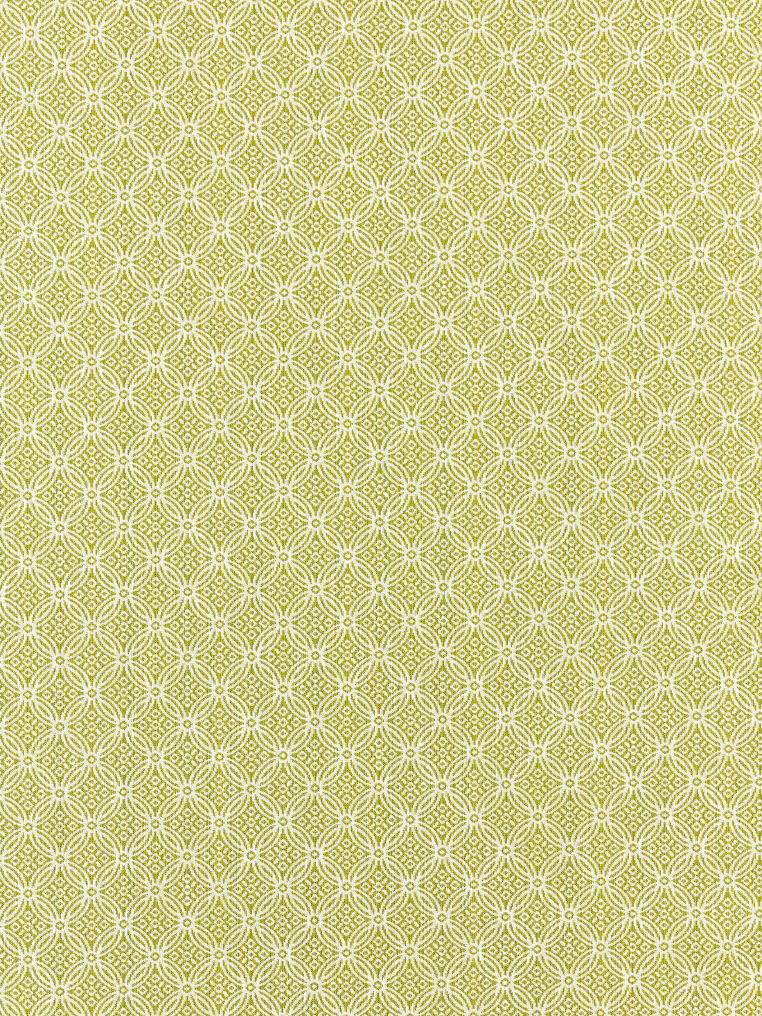 Cape May fabric in key lime color - pattern number SC 000227317 - by Scalamandre in the Scalamandre Fabrics Book 1 collection